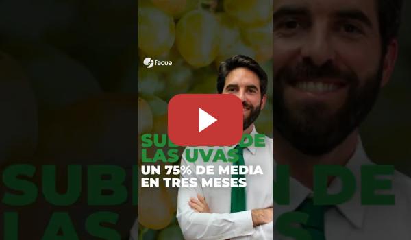 Embedded thumbnail for Subidón en las uvas: un 75% de media en el último trimestre