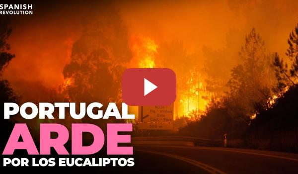 Embedded thumbnail for PortugalIncendios YT