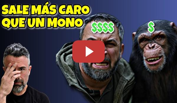 Embedded thumbnail for ABASCAL dirá &quot;NO&quot; a TODO: cuando contratar MONETES sale más BARATO que pagar a VOX