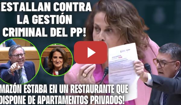 Embedded thumbnail for Enric Morera y Antonelli ESTALLAN contra el PP🔥 ¡RIDÍCULO de FEIJÓO ante RIBERA! AYUSO y las 7.291🔥