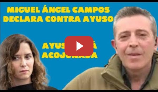 Embedded thumbnail for Los periodistas declaran contra las mentiras de Ayuso contra el fiscal general del Estado