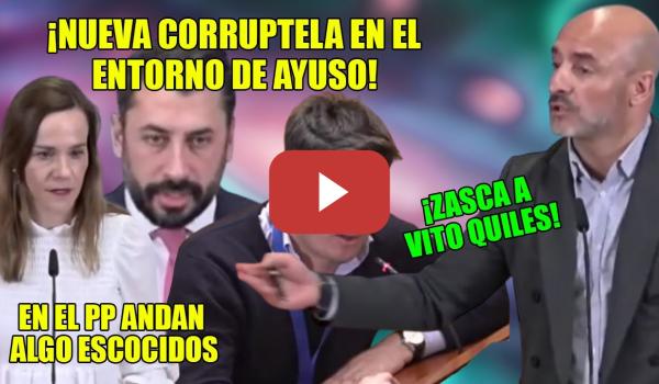 Embedded thumbnail for FP y PUT1CLUBS💥Nuevo RIDÍCULO de Vito Quiles y CORRUPTELA del entorno de Ayuso con delirio de Vox