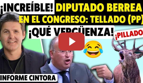 Embedded thumbnail for LO NUNCA VISTO: TELLADO (PP) BERREA EN EL CONGRESO. DESEAN A JUNTS Y BULOS CON FRANCO