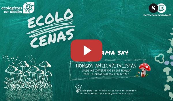 Embedded thumbnail for Ecolocenas 3x4: Hongos Anticapitalistas